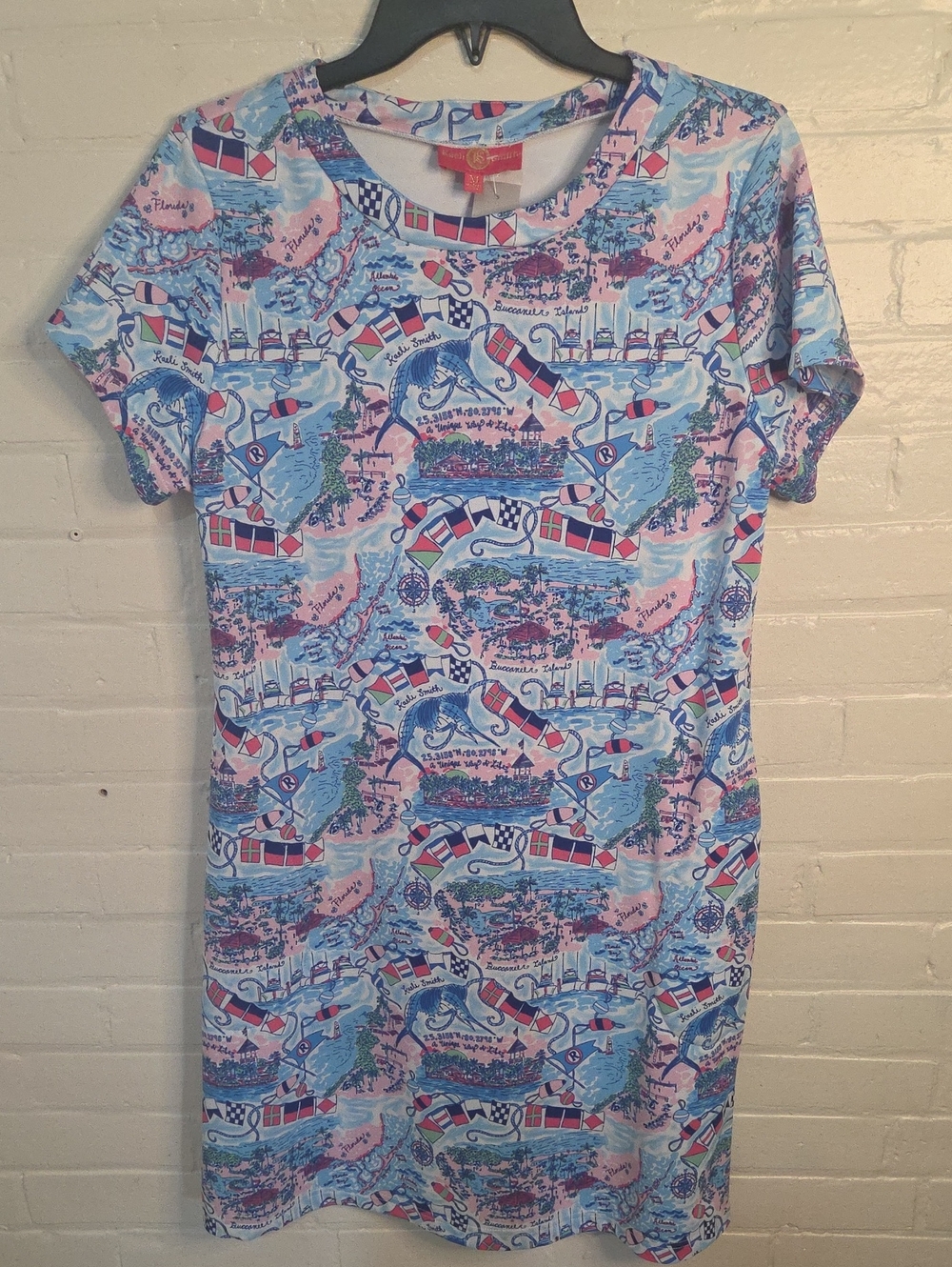 Kaeli Smith Blue & Pink Nautical Print Mini Dress